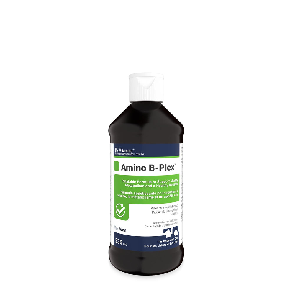 Rx Vitamins Amino B-Plex liquide - 120 ml Image