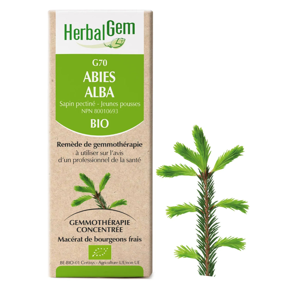 G70 - Abies alba - sapin pectiné Image