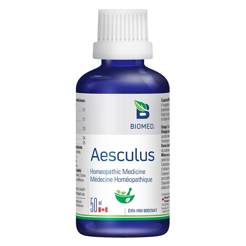 Aesculus Image
