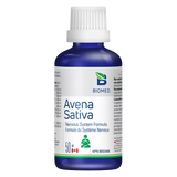 Avena Sativa image 1
