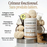 Crémeur à café à la crinière de lion image 3