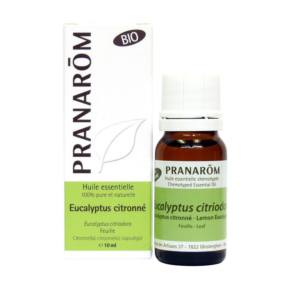 Eucalyptus citronné Image