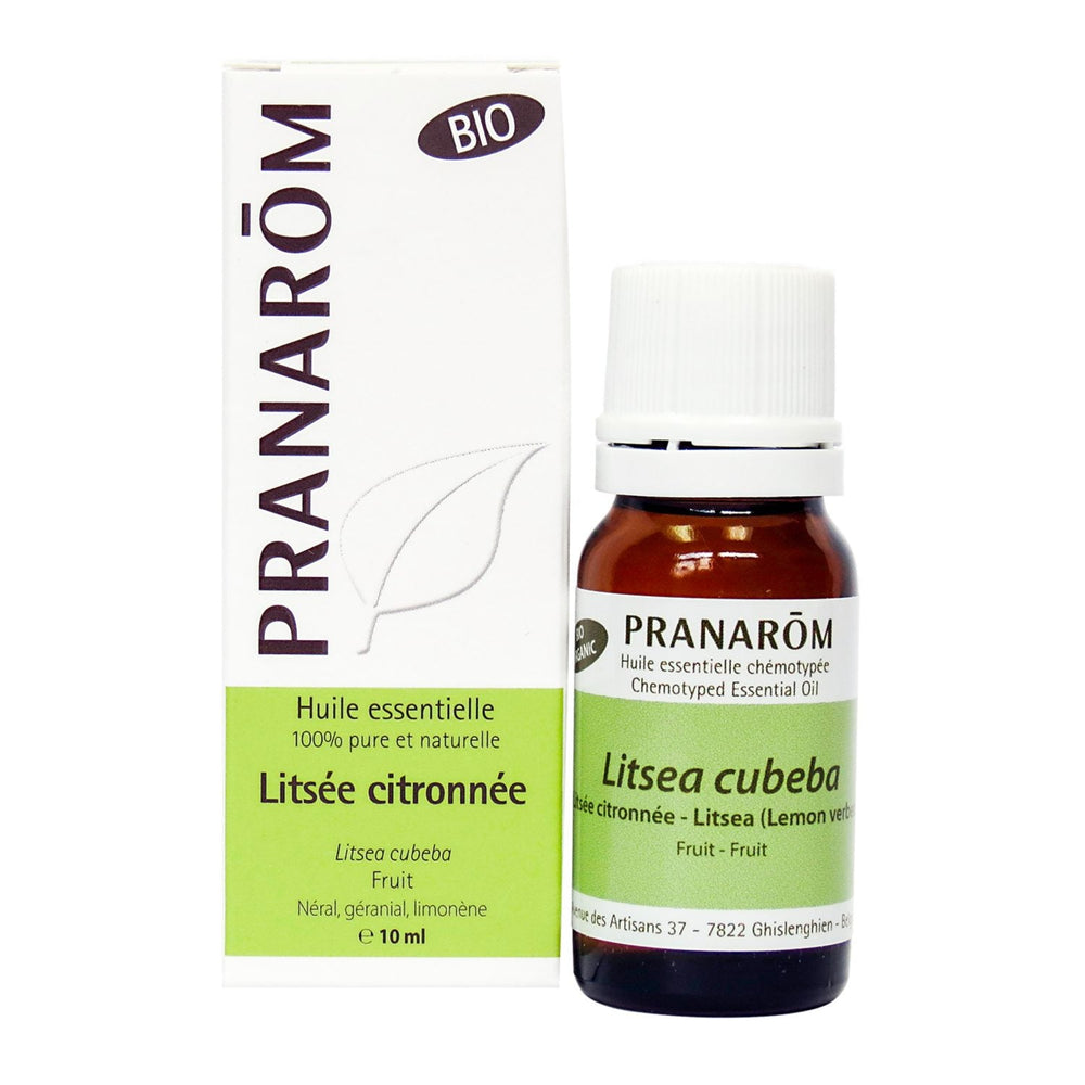 Litsée citronnée Image