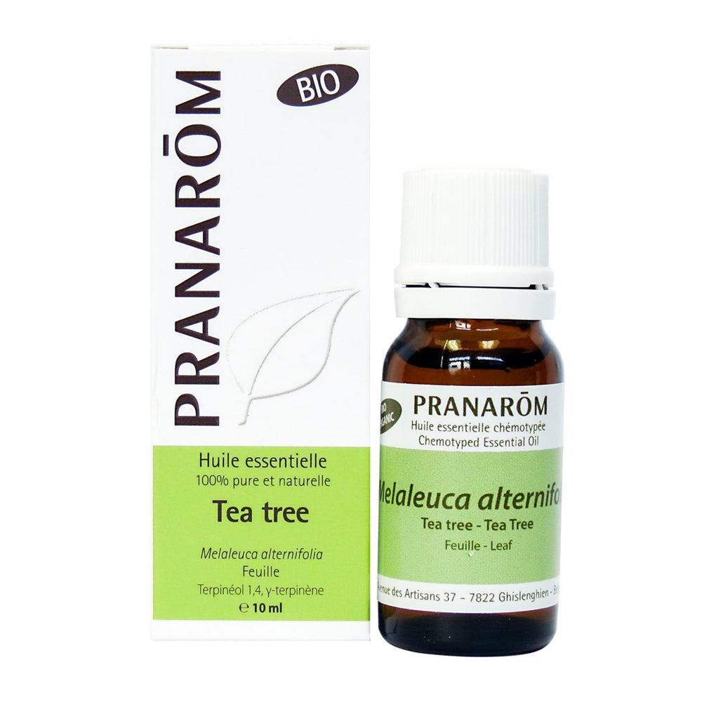 Tea tree Image
