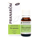 Pin sylvestre image 1
