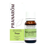 Thuya image 1