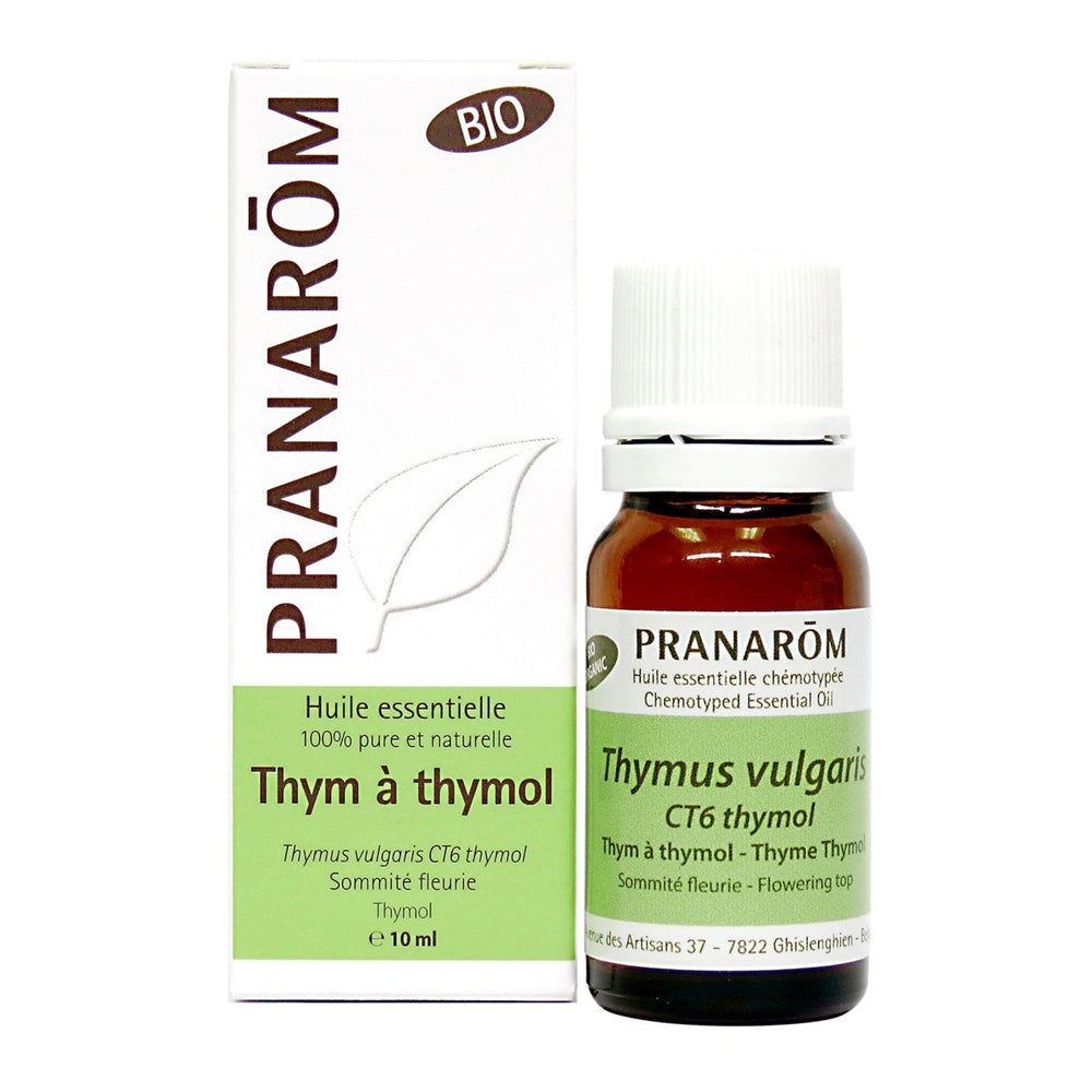 Thym à thymol Image