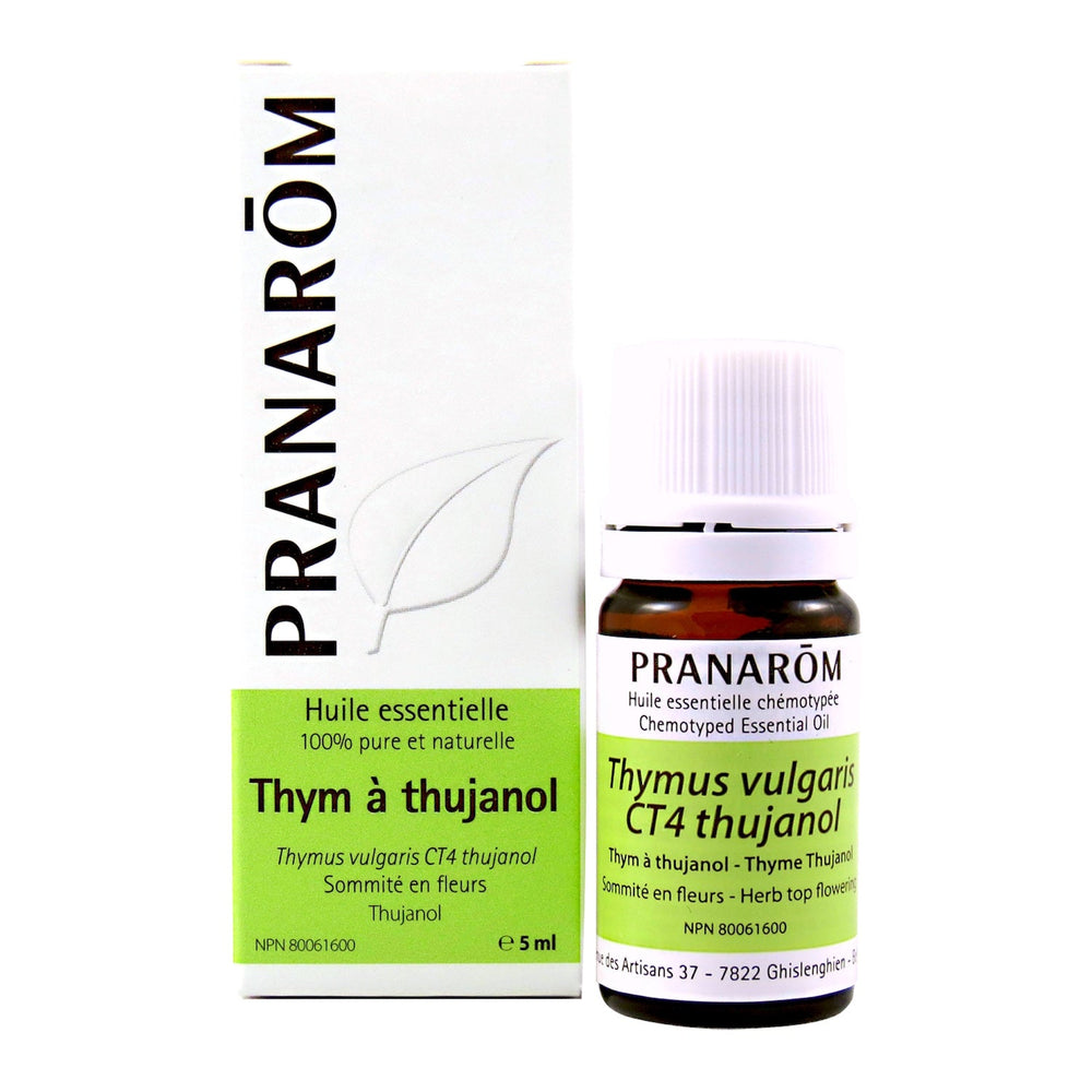 Thym à thujanol Image