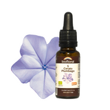 Plumbago image 1