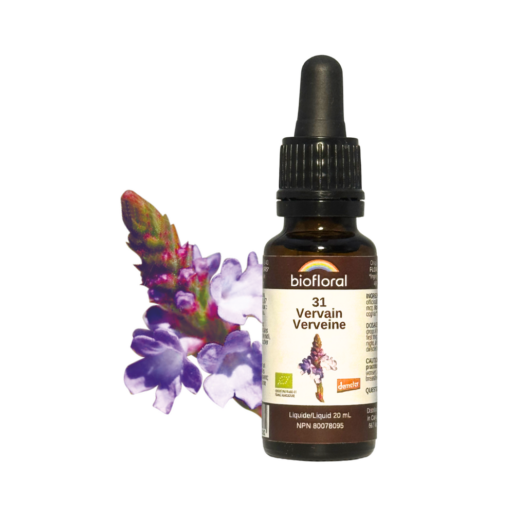 Verveine Image