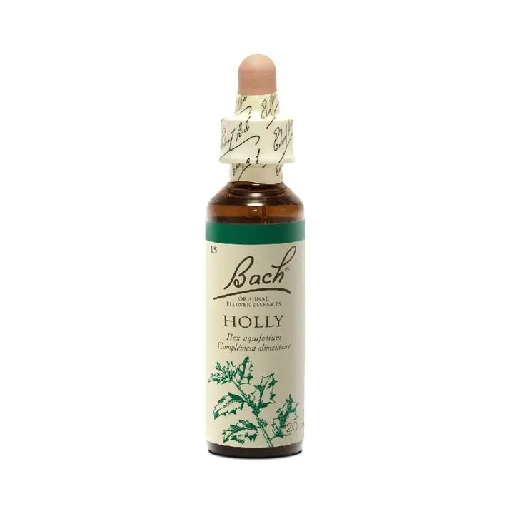 Holly - Houx Image