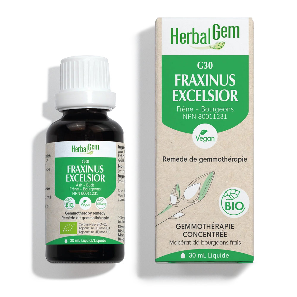 G30 - Fraxinus excelsior (frêne) Image