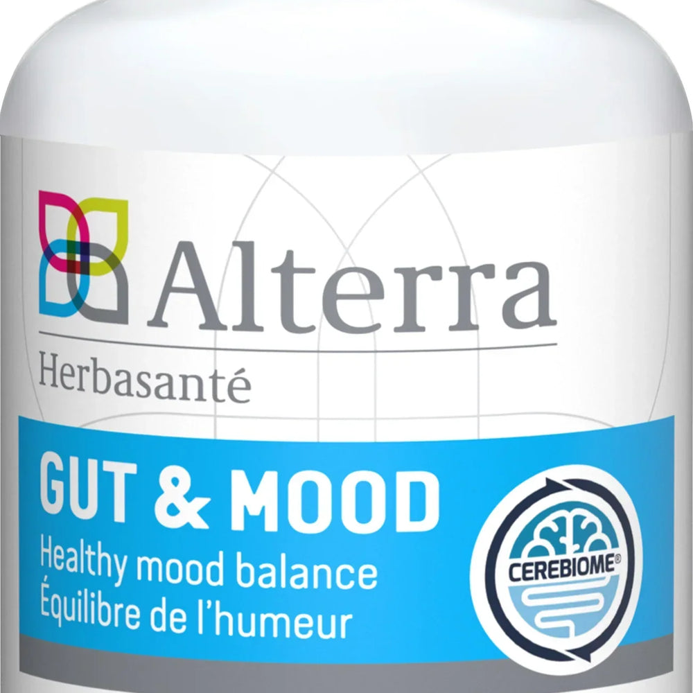Gut & Mood Image