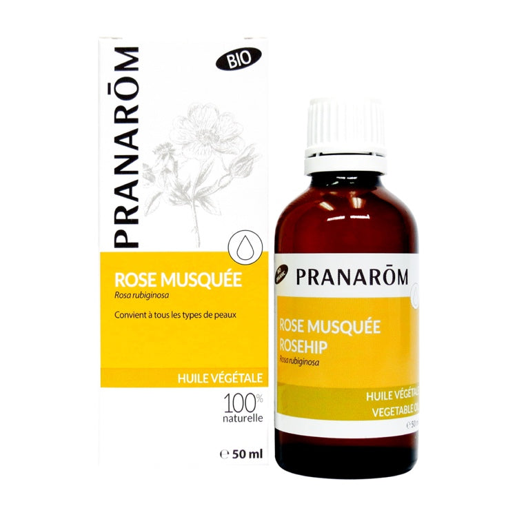 Rose musquée Image