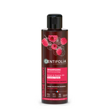 Shampooing brillance - tous types de cheveux image 1