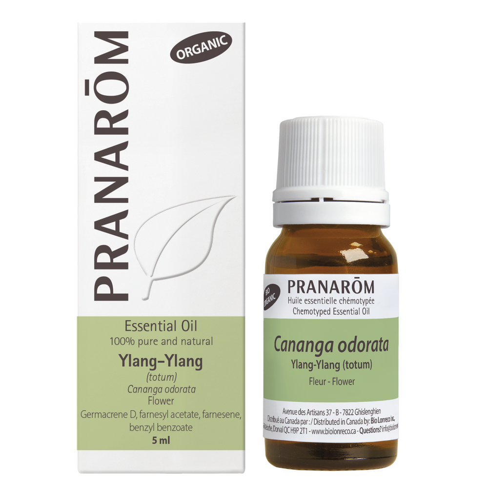 Ylang-Ylang Image