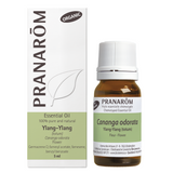 Ylang-Ylang image 1