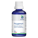 Polygonum image 1