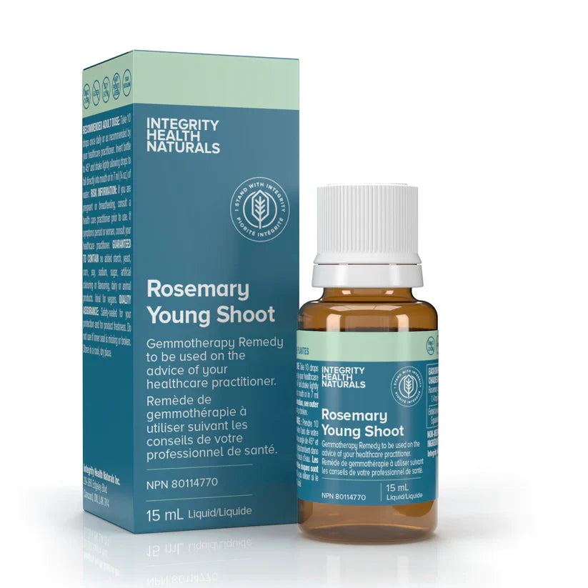 Rosemary Young Shoot - Rosmarinus officinalis Image