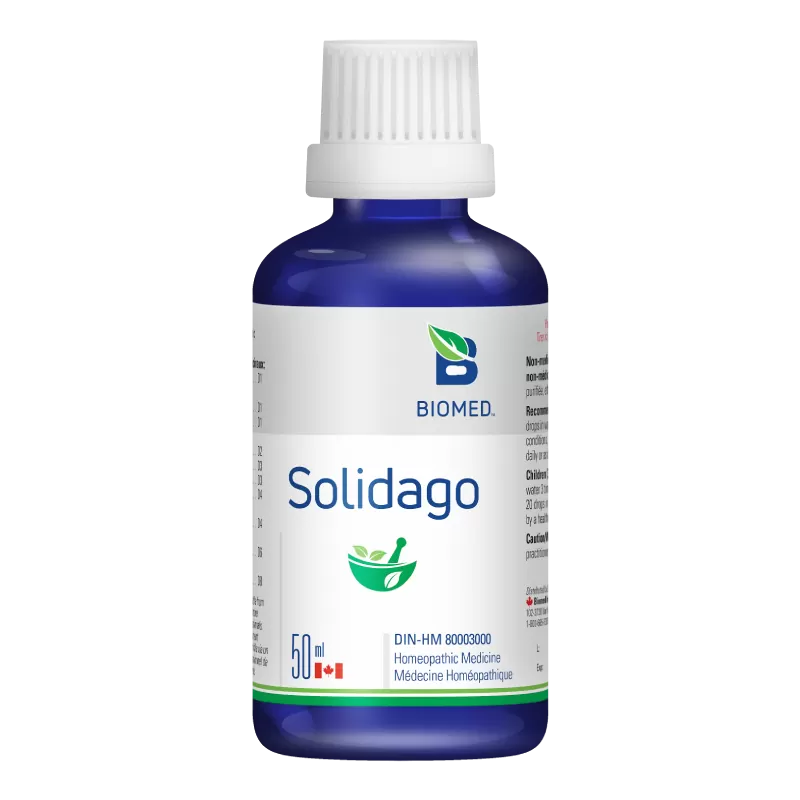 Solidago Image
