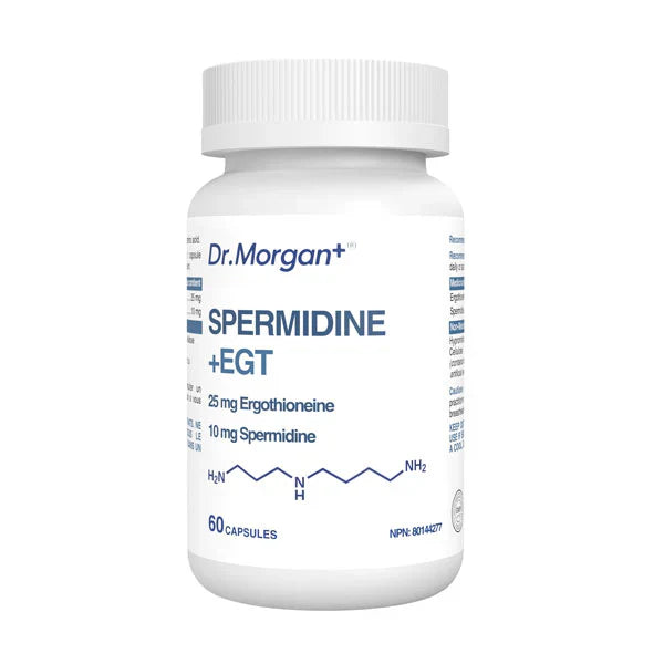 Spermidine + EGT Image