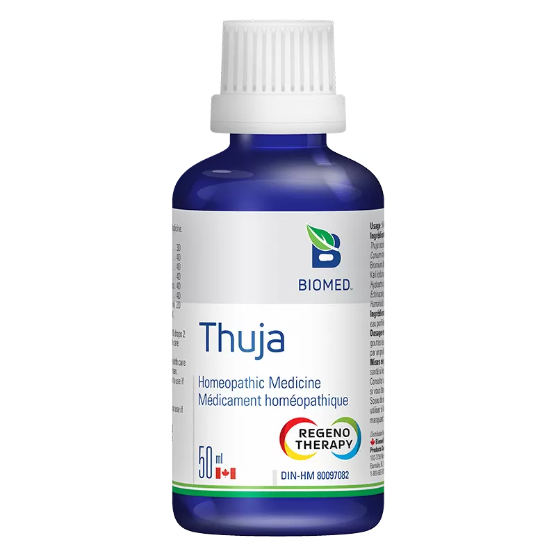 Thuja Image