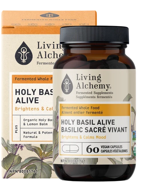 Basilic Sacré Vivant Image