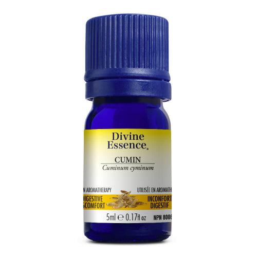 Cumin Conv. Image