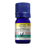 Hysope Officinale (1.8 Cineole) Bio. image 1