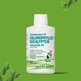 Chlorophylle 5X Liquide image 2