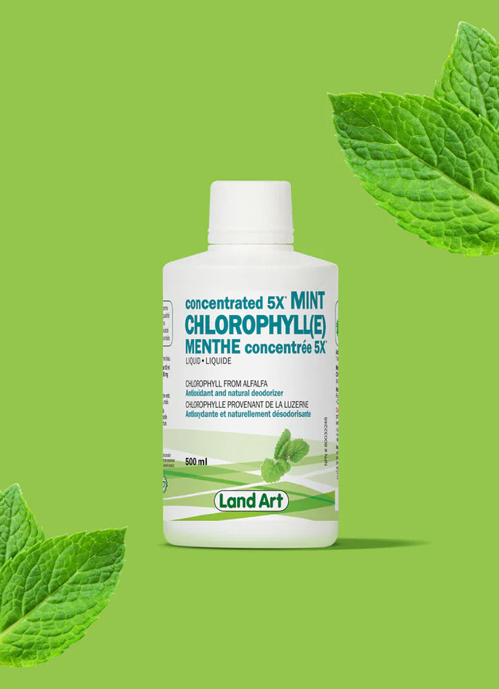 Chlorophylle 5X Liquide Image