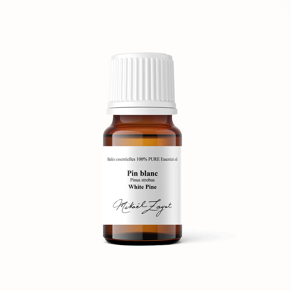 HE aiguille de pin blanc Zayat Aroma Image