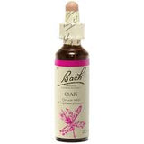 Oak - Chêne image 1