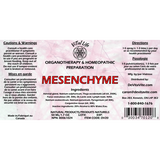 Mesenchyme image 1