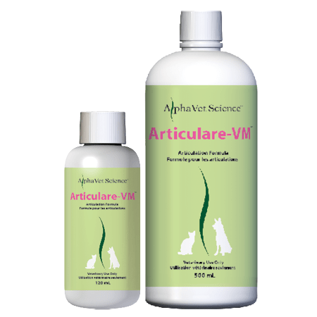 Articulaire-VM Image