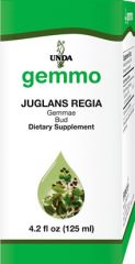 Juglans regia  Image