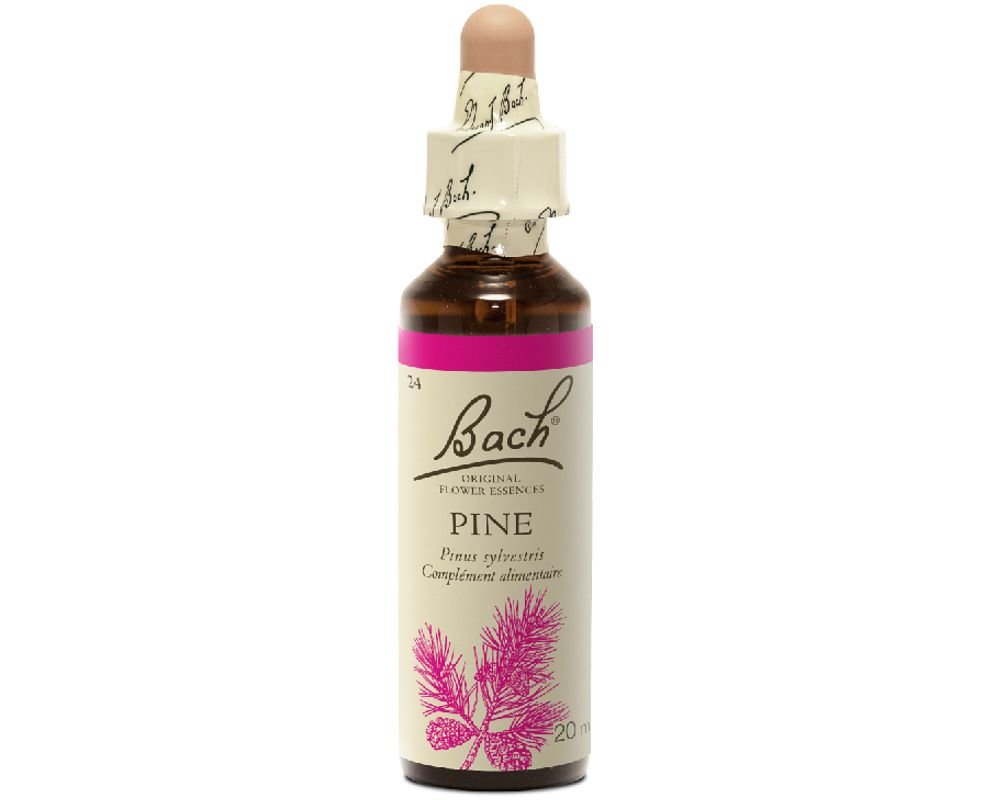 Pine - Pin Image