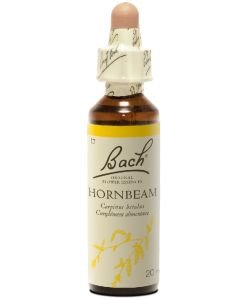 Hornbeam - Charme Image