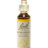 Hornbeam - Charme image 1