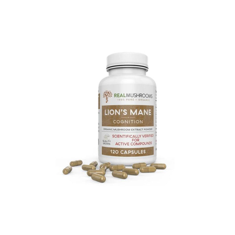 Lion's Mane Image