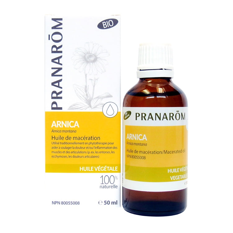 Arnica Image