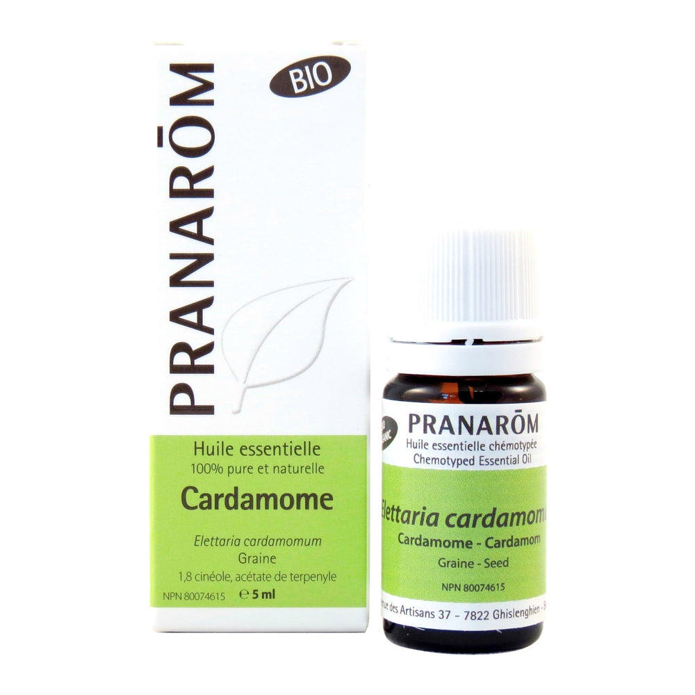 Cardamome Image