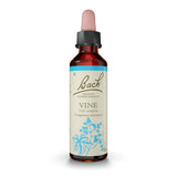 Vine - Vigne image 1