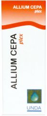 Allium cepa Plex  Image