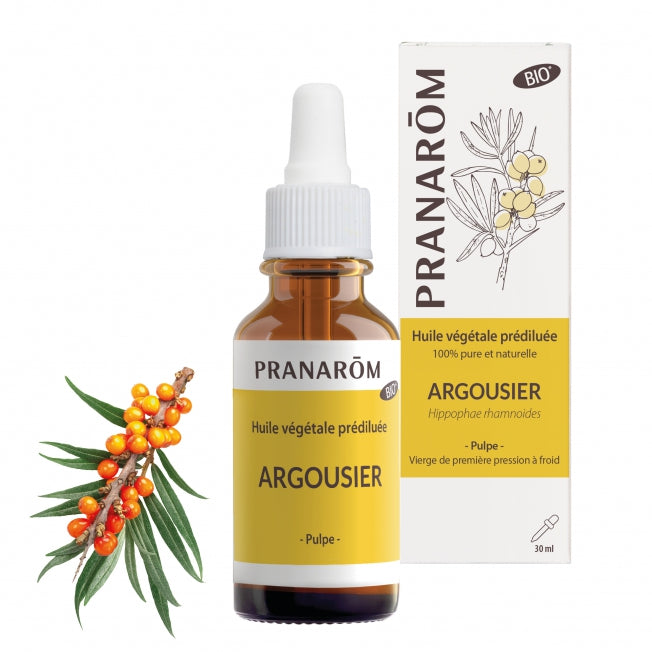 Argousier Image