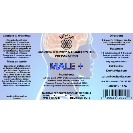 Male + Image