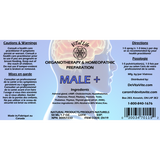 Male + image 1