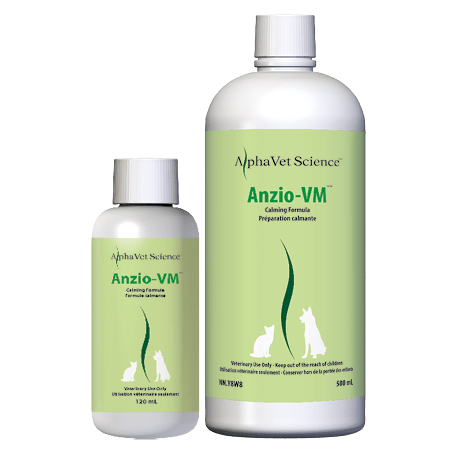 Anzio-VM Image