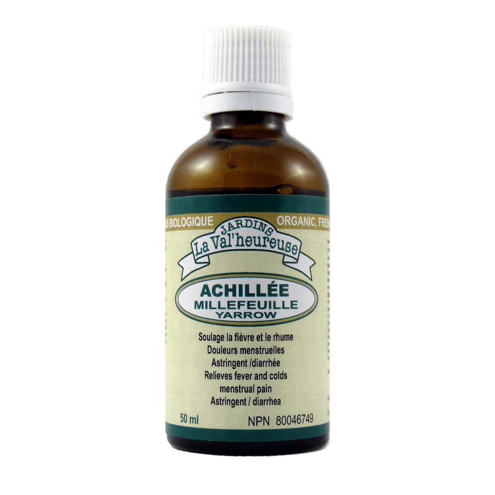 Achillée millefeuille Image