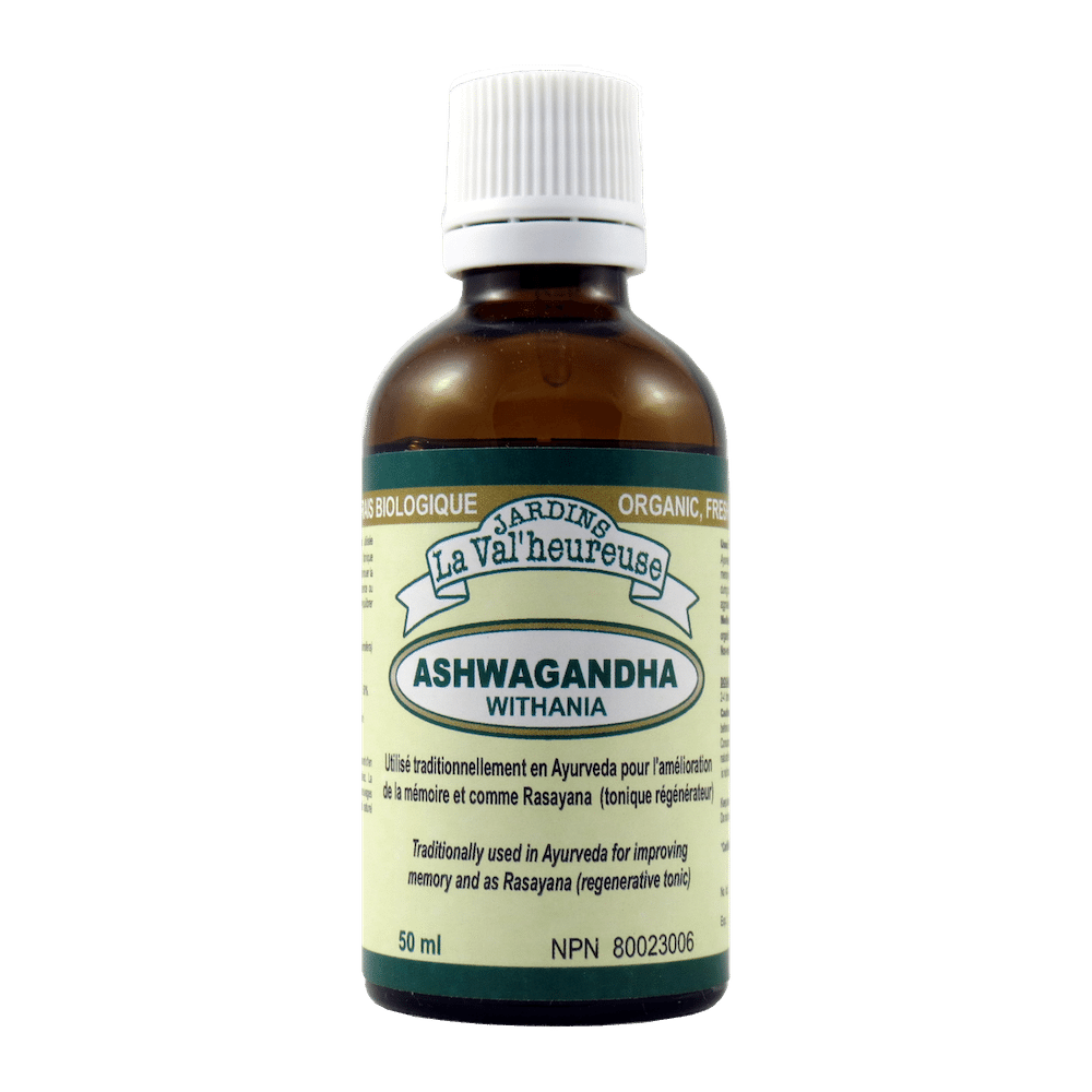 Ashwagandha Image